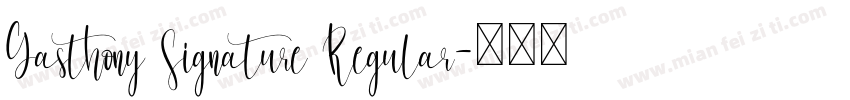 Gasthony Signature Regular字体转换